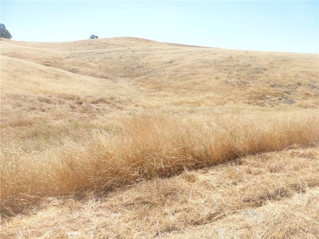 0 Claribel Rd, San Miguel, CA 93451 - photo 15