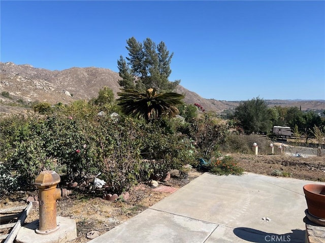 2005 Mt Vernon Ave, Riverside, CA 92507 - photo 9