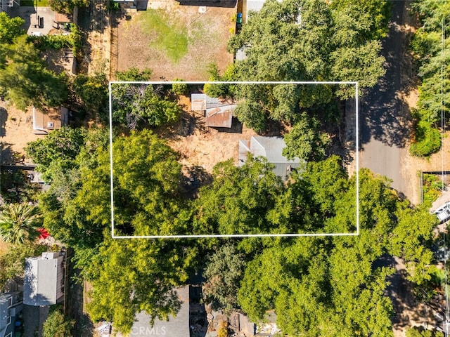 1372 Davis St, Chico, CA 95928 - photo 13