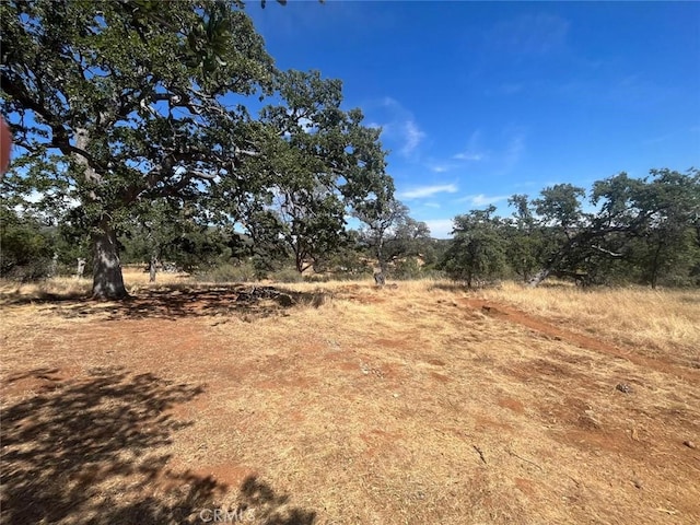 3301 Clavel Way, Coulterville, CA 95311 - photo 1