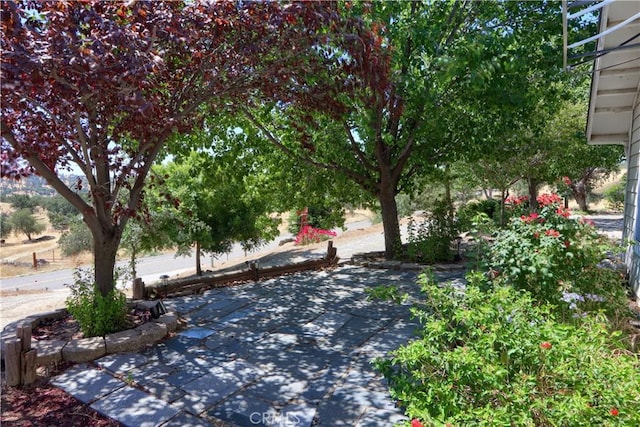 35777 Rd 606, Raymond, CA 93653 - photo 9