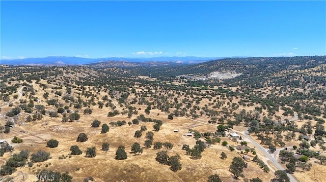 35777 Rd 606, Raymond, CA 93653 - photo 60