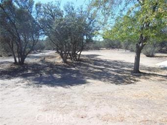 10984 Lincroft Rd, Hesperia, CA 92344 - photo 16