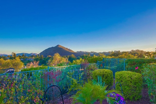 375 Camino Bailen, Escondido, CA 92029 - photo 49