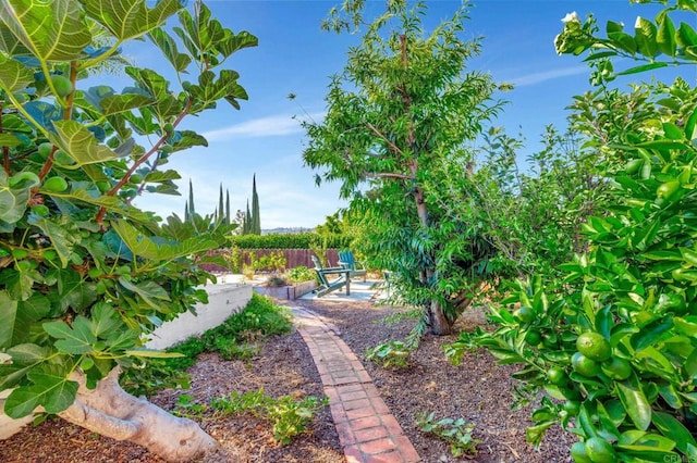 5424 Princess View Pl, San Diego, CA 92120 - photo 18