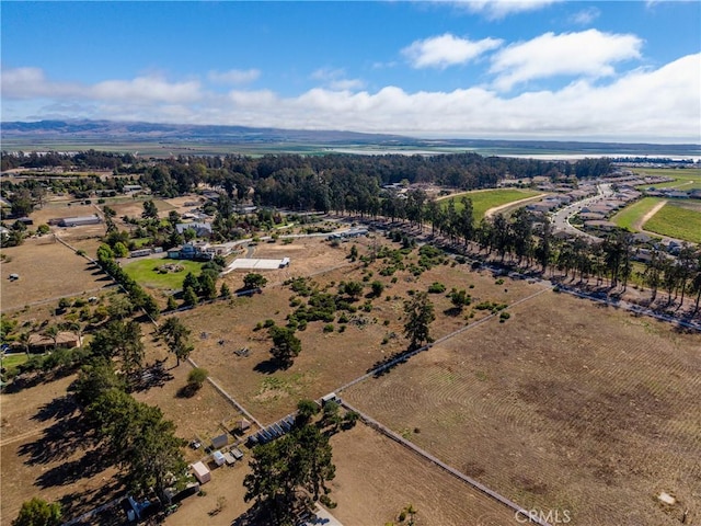 1255 Viva Way, Nipomo, CA 93444 - photo 3
