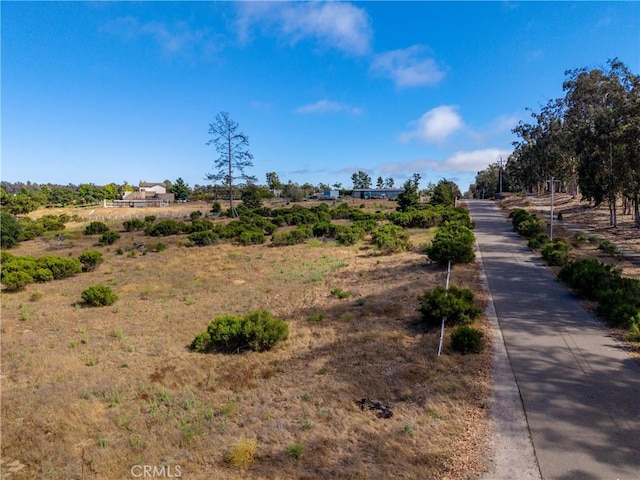 1255 Viva Way, Nipomo, CA 93444 - photo 23
