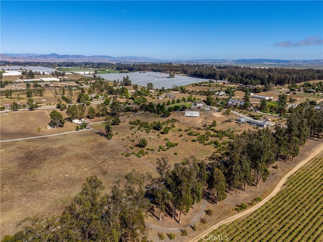 1255 Viva Way, Nipomo, CA 93444 - photo 9
