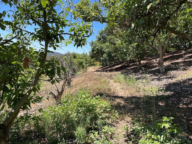2 Via Vaquero, Temecula, CA 92590 - photo 20