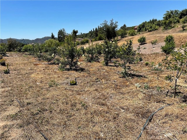 2 Via Vaquero, Temecula, CA 92590 - photo 4