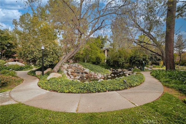 7131 Farralone Ave Unit 48, Canoga Park, CA 91303 - photo 6