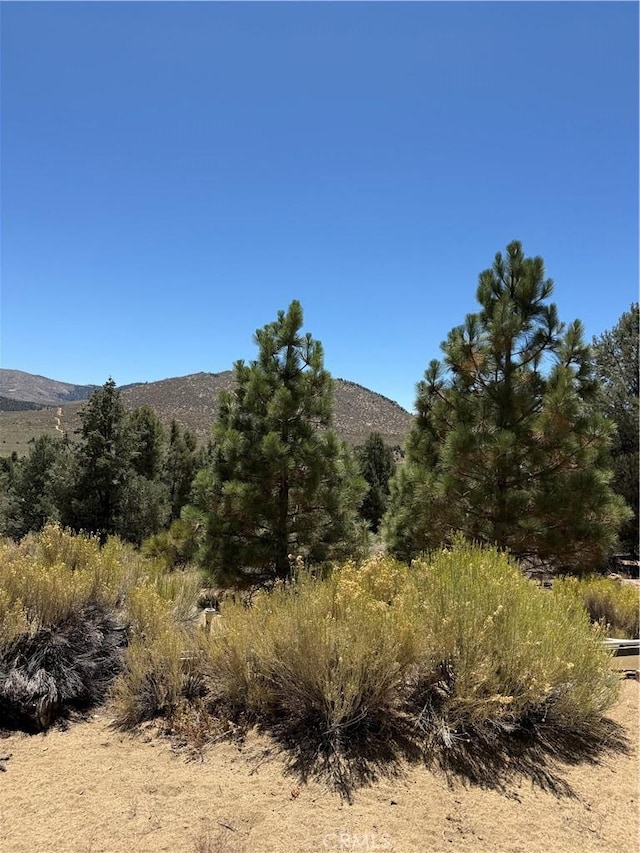 97940 Deodar Rd, Kennedy Meadows, CA 93527 - photo 16