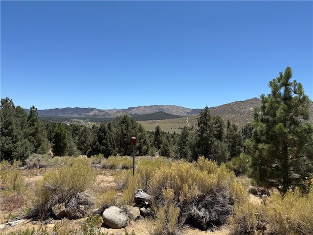 97940 Deodar Rd, Kennedy Meadows, CA 93527 - photo 15