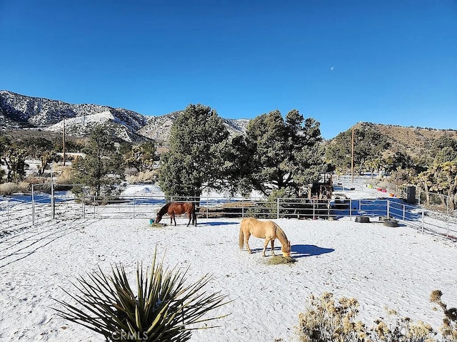 2235 Pegasus Way, Pinon Hills, CA 92372 - photo 57