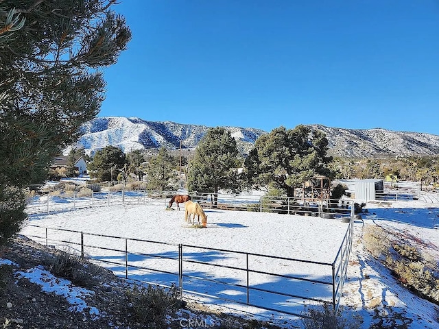2235 Pegasus Way, Pinon Hills, CA 92372 - photo 58