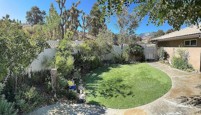2235 Pegasus Way, Pinon Hills, CA 92372 - photo 40