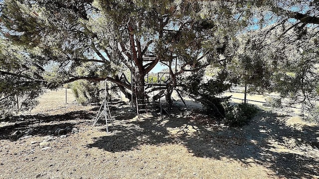 2235 Pegasus Way, Pinon Hills, CA 92372 - photo 47