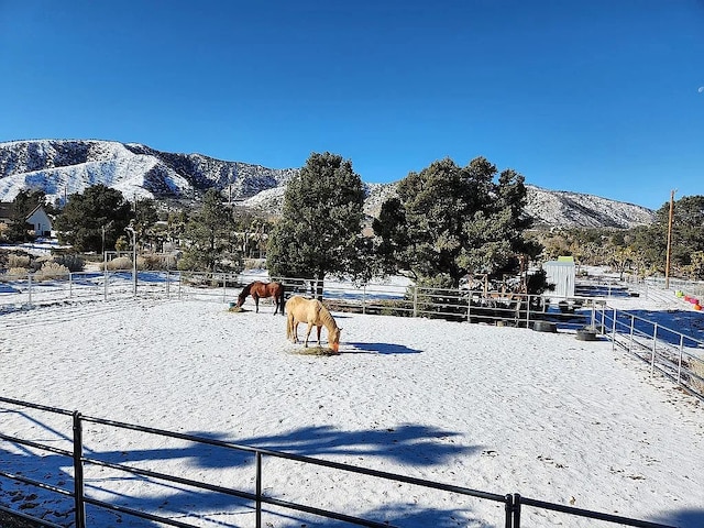 2235 Pegasus Way, Pinon Hills, CA 92372 - photo 3