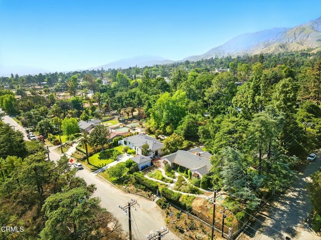 1313 E Palm St, Altadena, CA 91001 - photo 68