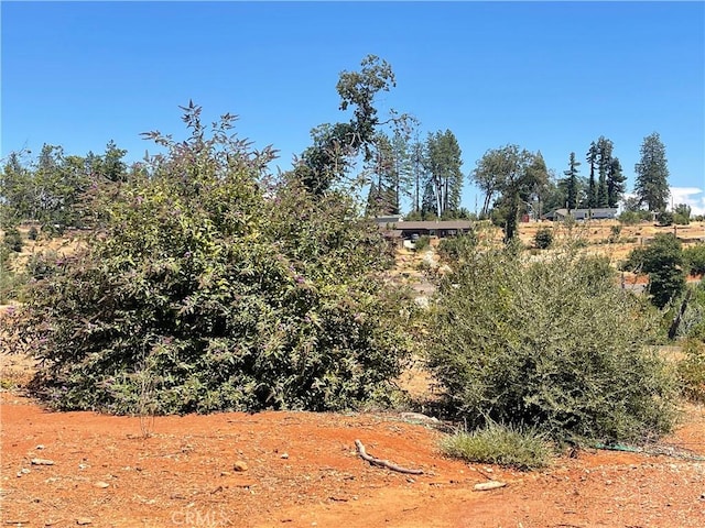 956 Pearson Rd, Paradise, CA 95969 - photo 3