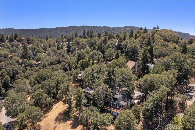 261 Davos Ct, Crestline, CA 92325 - photo 50