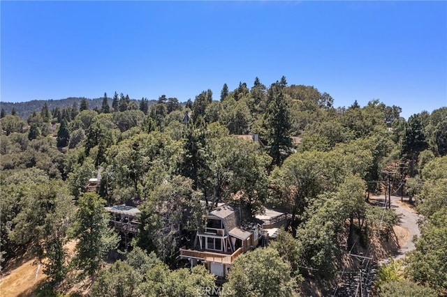 261 Davos Ct, Crestline, CA 92325 - photo 49