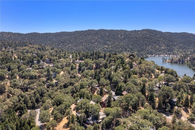 261 Davos Ct, Crestline, CA 92325 - photo 51
