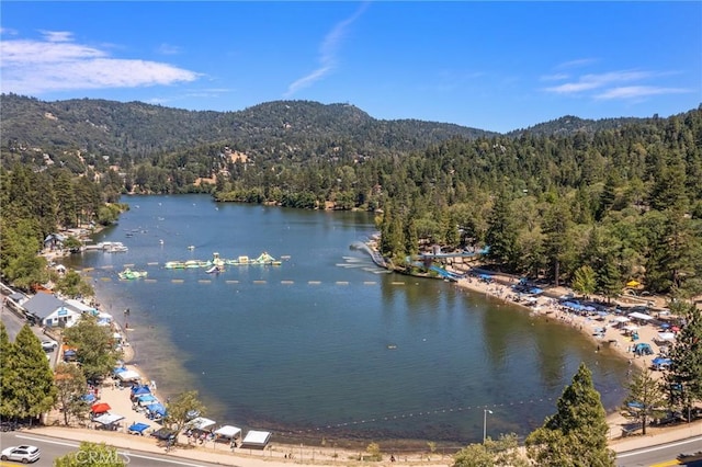261 Davos Ct, Crestline, CA 92325 - photo 2