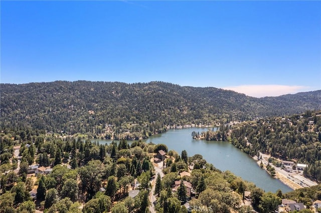 261 Davos Ct, Crestline, CA 92325 - photo 3