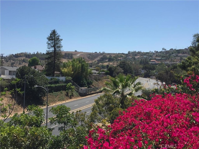 1709 El Rey Rd, San Pedro, CA 90732 - photo 35