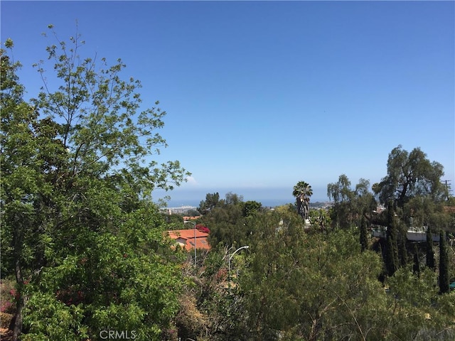 1709 El Rey Rd, San Pedro, CA 90732 - photo 32