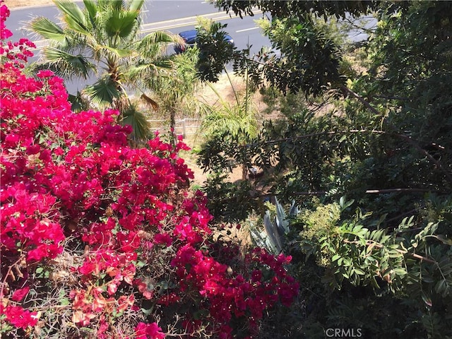 1709 El Rey Rd, San Pedro, CA 90732 - photo 31