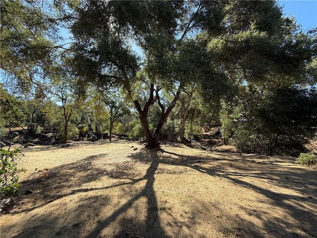 5100 Silva Rd, Mariposa, CA 95338 - photo 17