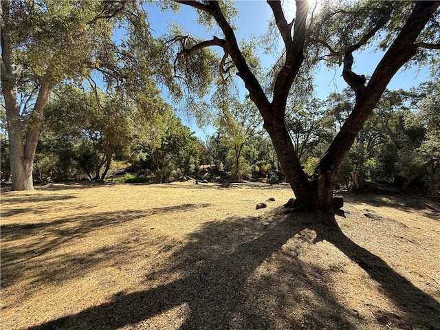 5100 Silva Rd, Mariposa, CA 95338 - photo 48