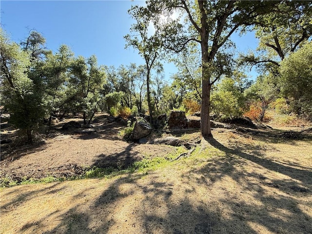 5100 Silva Rd, Mariposa, CA 95338 - photo 50