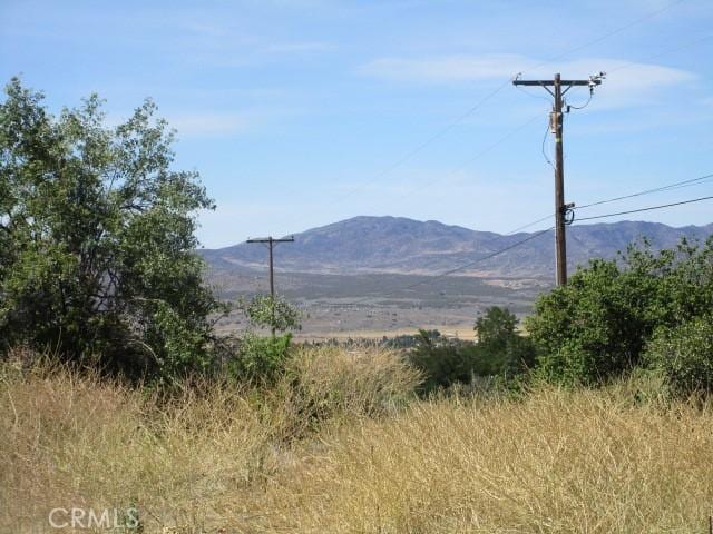 37401 Hill St, Anza, CA 92539 - photo 3