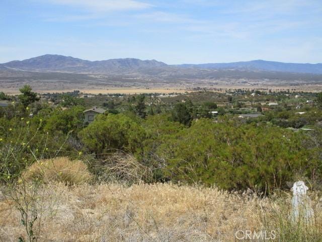 37401 Hill St, Anza, CA 92539 - photo 4