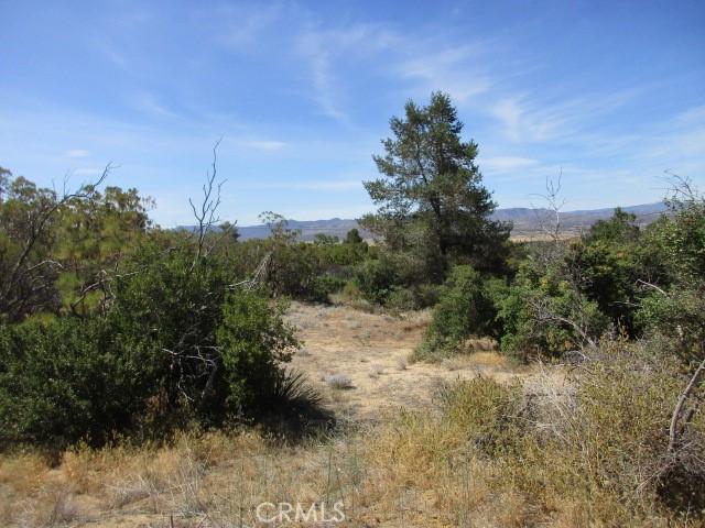 37401 Hill St, Anza, CA 92539 - photo 5