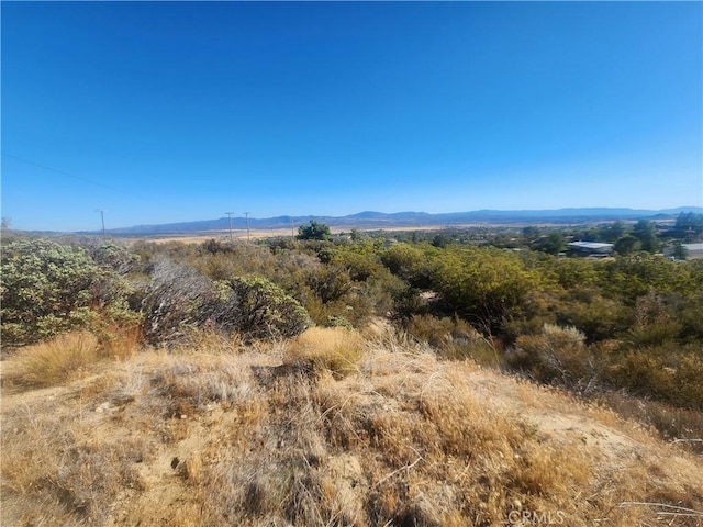 37401 Hill St, Anza, CA 92539 - photo 17