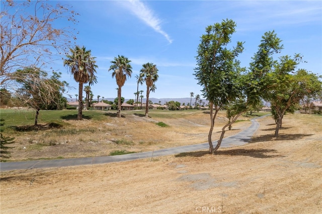 82642 Odlum Dr, Indio, CA 92201 - photo 28