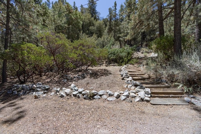 15529 San Moritz Dr, Pine Mountain Club, CA 93222 - photo 20