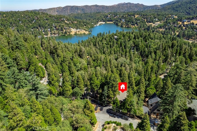 965 Lausanne Dr, Crestline, CA 92325 - photo 37