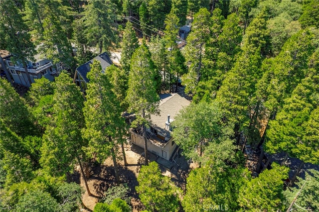 965 Lausanne Dr, Crestline, CA 92325 - photo 33
