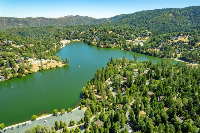 965 Lausanne Dr, Crestline, CA 92325 - photo 38