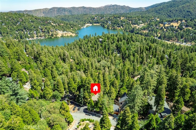 965 Lausanne Dr, Crestline, CA 92325 - photo 39