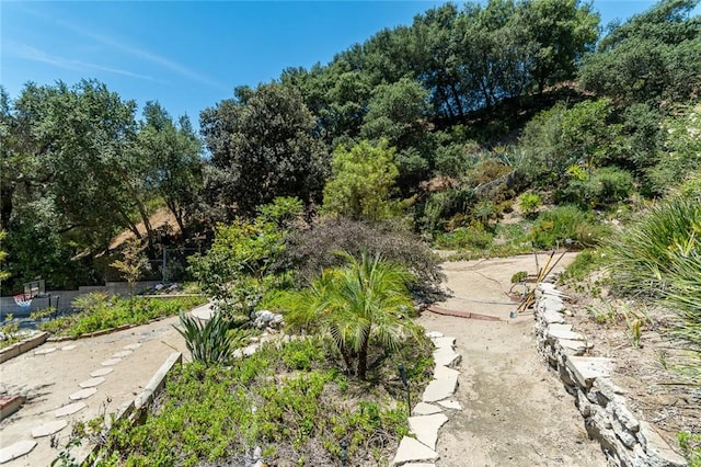2719 Hollister Ter, Glendale, CA 91206 - photo 50