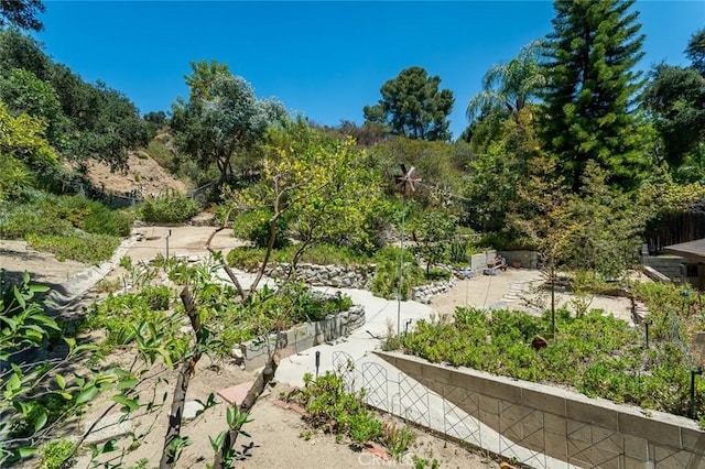 2719 Hollister Ter, Glendale, CA 91206 - photo 45