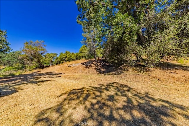 46320 Oonay Nation Rd, Coarsegold, CA 93614 - photo 59