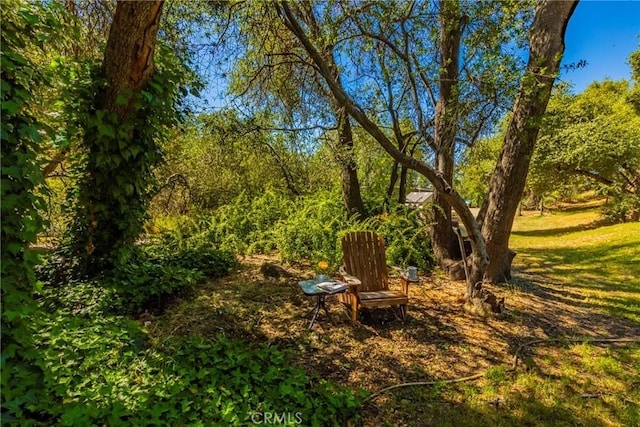 46320 Oonay Nation Rd, Coarsegold, CA 93614 - photo 61