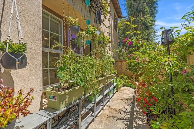 38 Canopy, Irvine, CA 92603 - photo 46